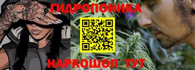 индика Беслан