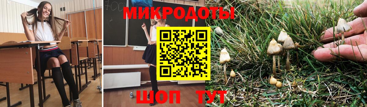 Галлюциногенные грибы мухоморы Кинель
