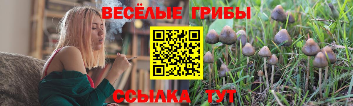 Псилоцибиновые грибы ЛСД  Вход с VPN  Галлюциногенные грибы прущие грибы  Кинель 