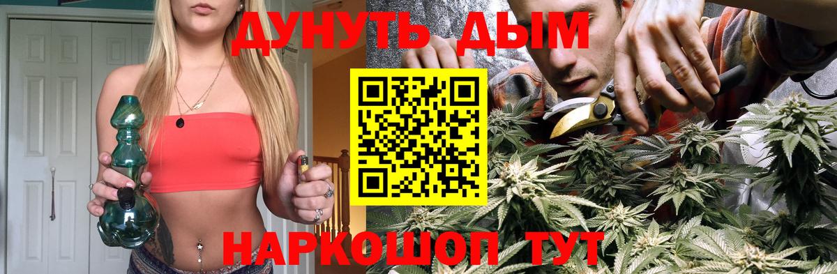 Шишки марихуана OG Kush Кинель